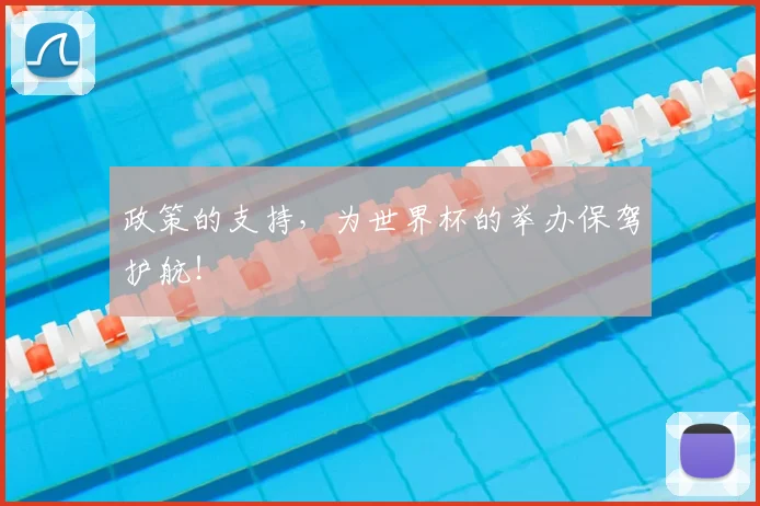 政策的支持,为世界杯的举办保驾护航!